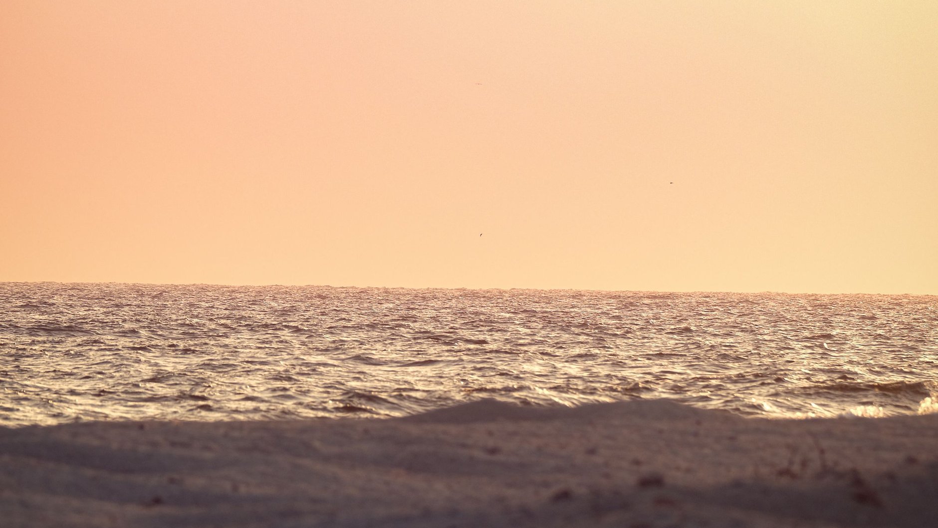 A calm sea meeting a pale sand shore under a peach-coloured dawn sky (illustrative stock photo).